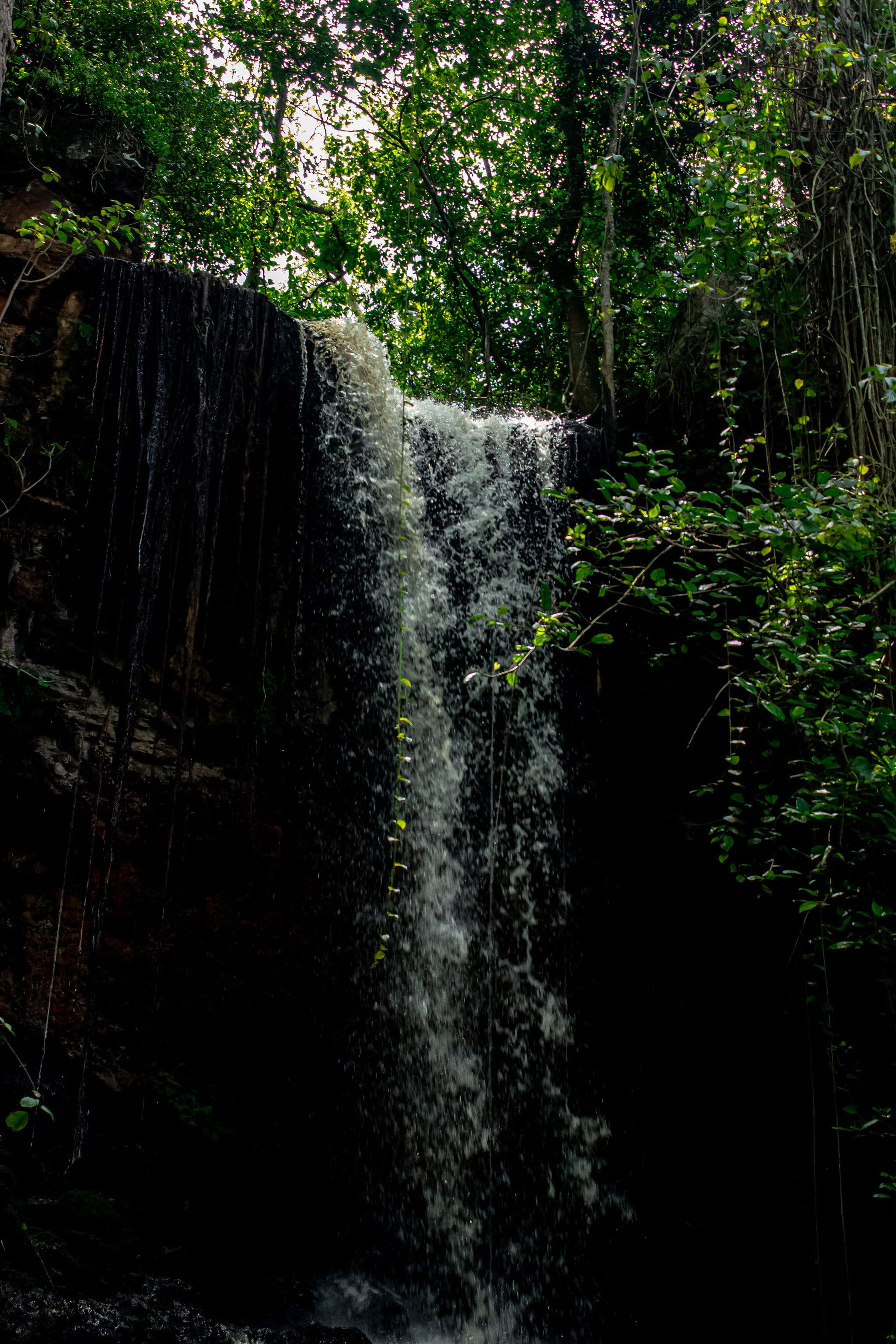 Paradise Lost image 11